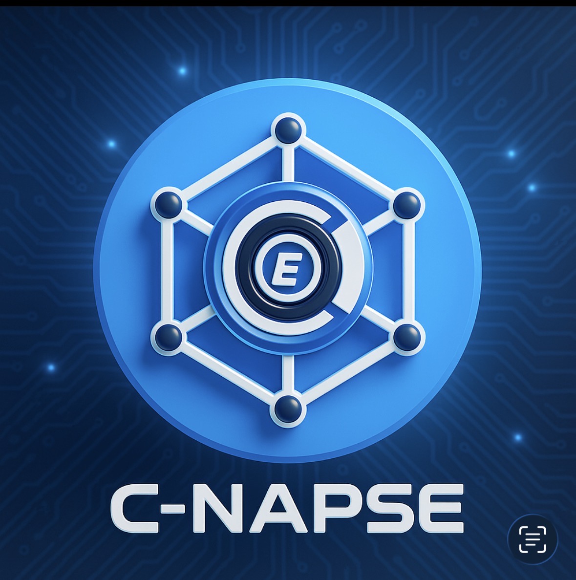 C-NAPSE Logo